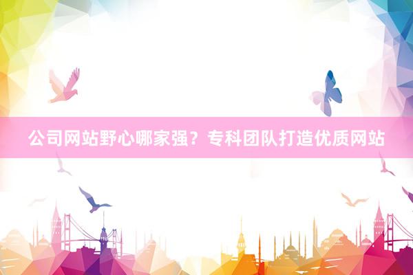 公司网站野心哪家强？专科团队打造优质网站